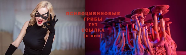 скорость Аркадак