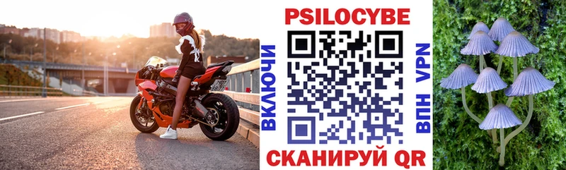 купить наркотик  Майский  ссылка на мегу ссылки  Галлюциногенные грибы Psilocybe 